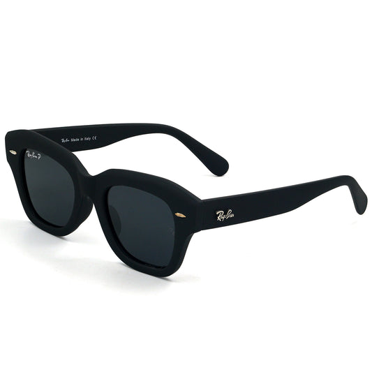 Rayban Polarized Sunglass | RB 205 C