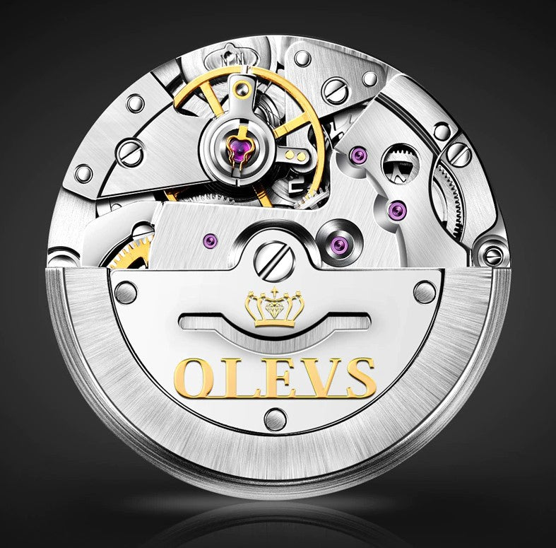 OLEVS Automatic Mechanical Watch | OLEVS Watch 18