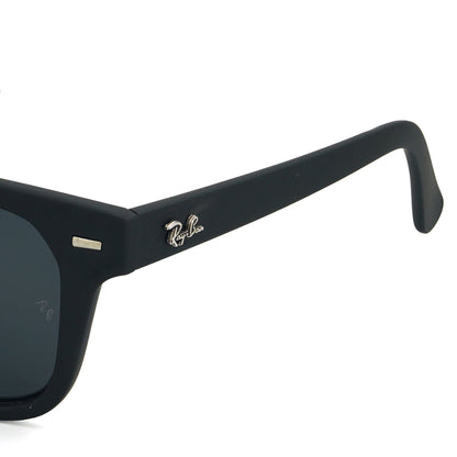 Rayban Polarized Sunglass | RB 206 C