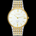 CITIZEN Premium Quality Saphire Quartz Watch | CTZN Watch 1016 G