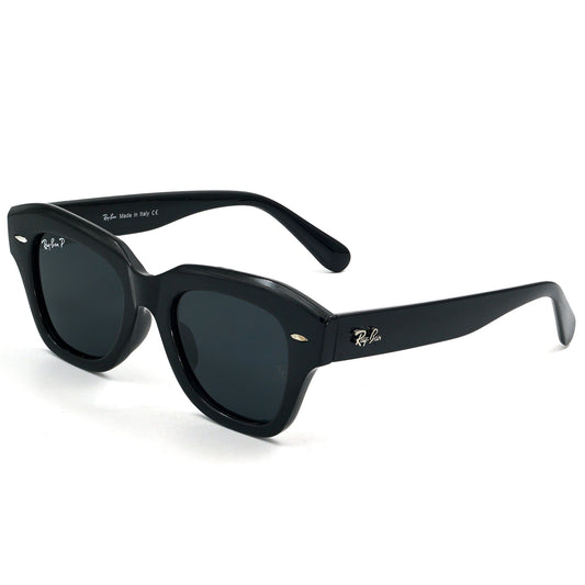 Rayban Polarized Sunglass | RB 205 B