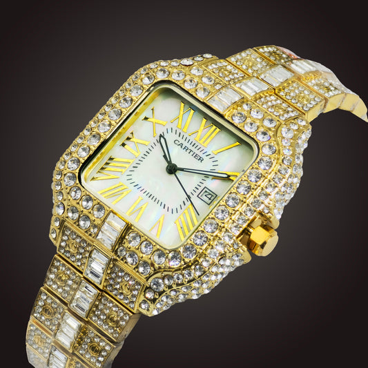 CARTIER Stone Quartz Watch | CRTR STN 500 E